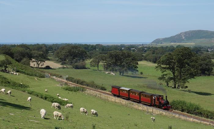 Locomotive No.2 travels up the line through fields of sheep